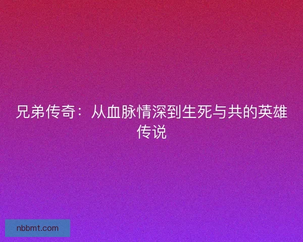 兄弟传奇：从血脉情深到生死与共的英雄传说