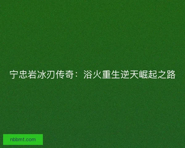 宁忠岩冰刃传奇：浴火重生逆天崛起之路